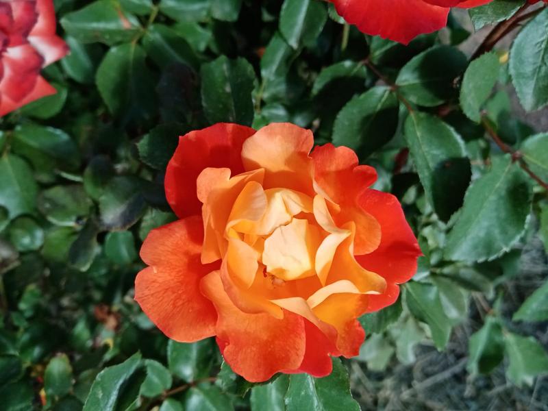 3 Bedroom Property for Sale in Oudtshoorn Rural Western Cape